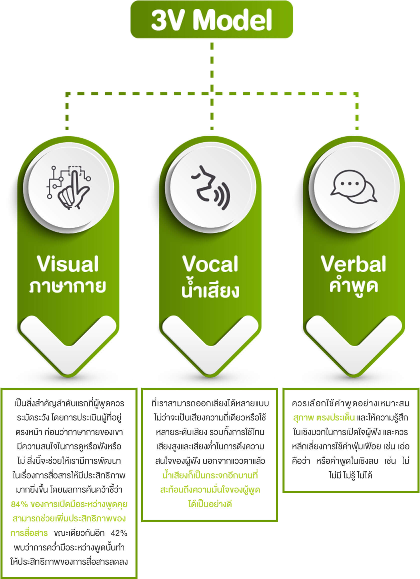 3V Model - Startup Thailand
